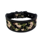 Diving material pet collar 4.2 ⭐⭐⭐” 97 ratings - brandscluster