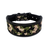 Diving material pet collar 4.2 ⭐⭐⭐” 97 ratings - brandscluster