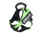 Pet Harness 4.2 ⭐⭐⭐⭐⭐” 290 ratings - brandscluster