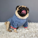 Pet sweater 4.2 ⭐⭐⭐⭐⭐” 200 ratings - brandscluster