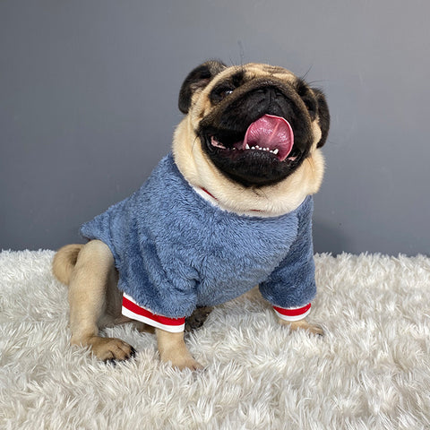 Pet sweater 4.2 ⭐⭐⭐⭐⭐” 200 ratings - brandscluster