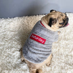 Pet sweater 4.2 ⭐⭐⭐⭐⭐” 200 ratings - brandscluster