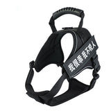 Pet Harness 4.2 ⭐⭐⭐⭐⭐” 290 ratings - brandscluster