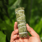 Cedar Stick Purifying Space Aroma 4.2 ⭐⭐⭐⭐⭐” 200 ratings - brandscluster