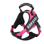 Pet Harness 4.2 ⭐⭐⭐⭐⭐” 290 ratings - brandscluster
