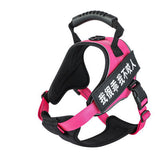 Pet Harness 4.2 ⭐⭐⭐⭐⭐” 290 ratings - brandscluster