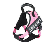 Pet Harness 4.2 ⭐⭐⭐⭐⭐” 290 ratings - brandscluster
