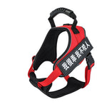 Pet Harness 4.2 ⭐⭐⭐⭐⭐” 290 ratings - brandscluster
