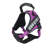 Pet Harness 4.2 ⭐⭐⭐⭐⭐” 290 ratings - brandscluster