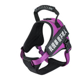 Pet Harness 4.2 ⭐⭐⭐⭐⭐” 290 ratings - brandscluster