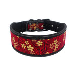 Diving material pet collar 4.2 ⭐⭐⭐” 97 ratings - brandscluster