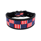 Diving material pet collar 4.2 ⭐⭐⭐” 97 ratings - brandscluster