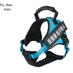 Pet Harness 4.2 ⭐⭐⭐⭐⭐” 290 ratings - brandscluster
