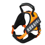 Pet Harness 4.2 ⭐⭐⭐⭐⭐” 290 ratings - brandscluster