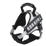 Pet Harness 4.2 ⭐⭐⭐⭐⭐” 290 ratings - brandscluster