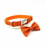 Pet Supplies Hot Dog Collar Leash, Pet Bow Collar Pet Leash 4.2 ⭐⭐⭐” 200 ratings - brandscluster
