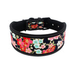 Diving material pet collar 4.2 ⭐⭐⭐” 97 ratings - brandscluster