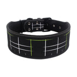 Diving material pet collar 4.2 ⭐⭐⭐” 97 ratings - brandscluster