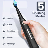 SEAGO Manufacturer SG958 Teeth Whitening Oral Care 5 Cleaning Modes Rechargeable Power  Electric Toothbrushes For Gifts brandscluster