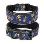 Diving material pet collar 4.2 ⭐⭐⭐” 97 ratings - brandscluster