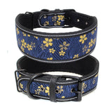 Diving material pet collar 4.2 ⭐⭐⭐” 97 ratings - brandscluster