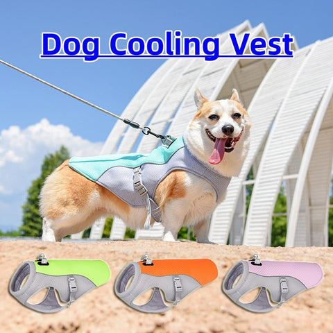 Summer Dog Cooling Vest – Breathable Heat-Resistant Jacket for Pets, Outdoor Walking & Training   4.2 ⭐⭐⭐⭐⭐” 195 ratings - brandscluster