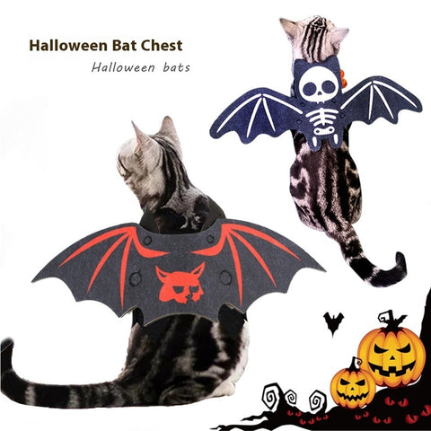 Halloween Pet Batwing Cat Pet Costume 4.2 ⭐⭐⭐⭐⭐” 290 ratings - brandscluster