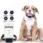 Tractive GPS pet tracking devics brandscluster