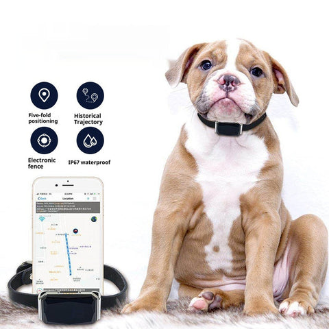 G12 Pet Navigator Locator Smart Wear GPS Cat Dog Anti-lost Tracking Tracking brandscluster