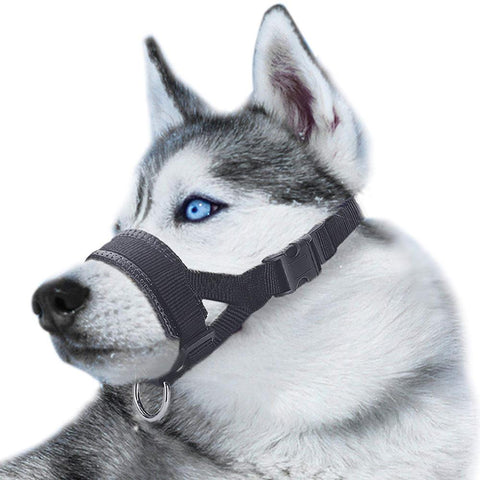Lepark Nylon Dog Muzzle for Small, Medium, Large Dogs 4.8 ⭐⭐⭐⭐⭐” 600 ratings - brandscluster