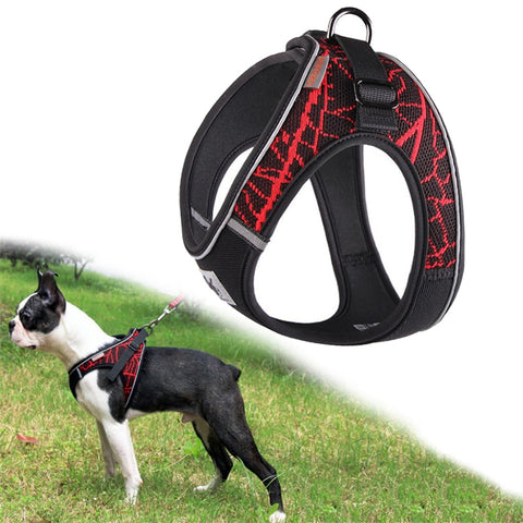 Reflective Dog Harness – No Pull, Choke-Free, Adjustable Pet Harness for Small, Medium & Large Dogs
   .. 4.2 ⭐⭐⭐⭐⭐” 200 ratings - brandscluster